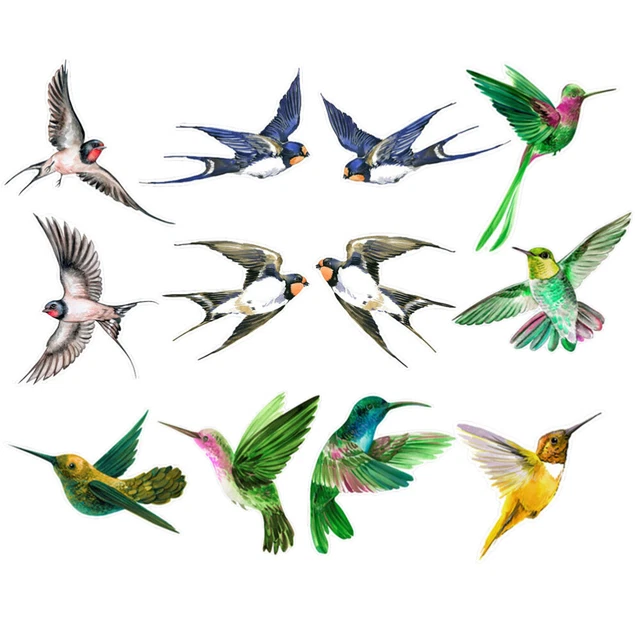 12 feuilles de vitre de fenêtre d'oiseau de fenêtre Autocollant fenêtre anti-col
