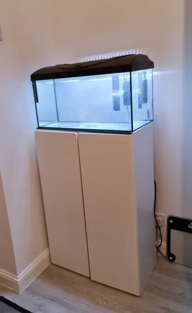 Fish Tank With Lid Light And Stand Storage Live Fish Bundle Worth £250