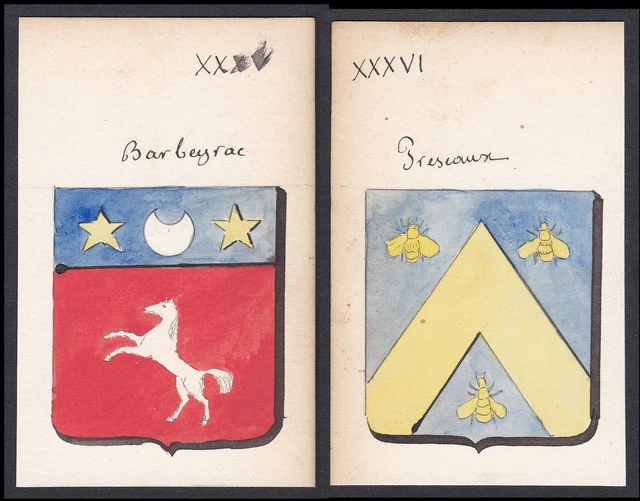 Barbeyrac De Saint-Maurice Preseau Francia Escudo Abrigo De Arms Acuarela