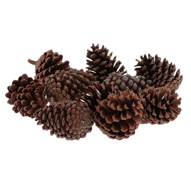 10 Pz Pigne Bagattelle Appese Albero Di Natale Decorazione Vacanza A 6-8 CM