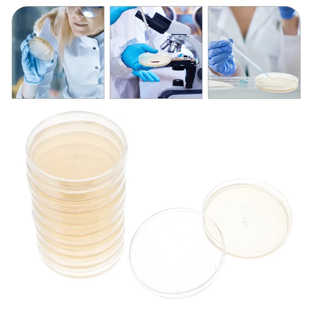 Ibasenice Lot 10 Boîtes Petri Gélose – Kit Scientifique Microbiologie Pré-Versé, Expériences Maison Enfants & Étudiants