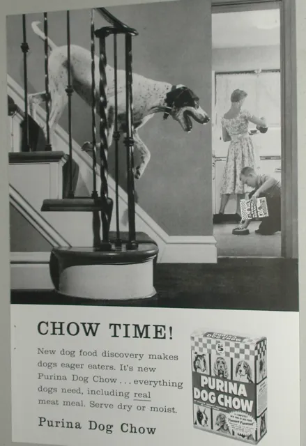 1958 PURINA Dog Food advertisement, Purina Dog Chow, Pointer in house