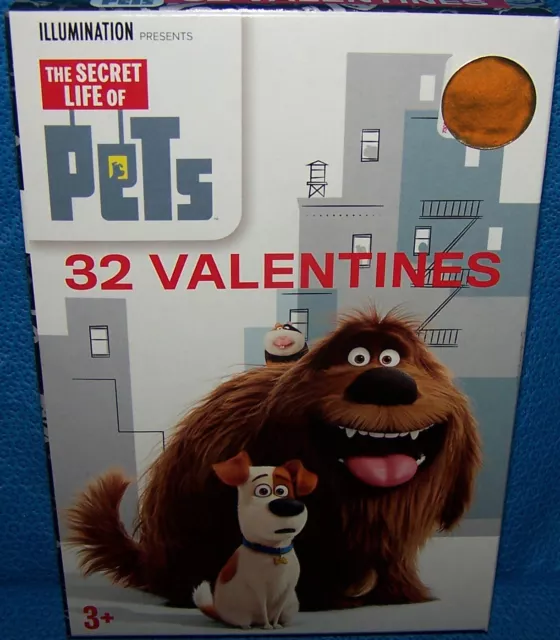Valentines Day Cards (Box of 32) The Secret Life Of Pets