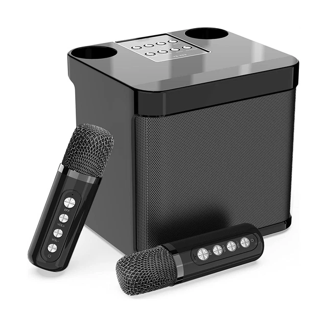 Family KTV Audio Set Dual Wireless Microphone Integrated Machine Outdoor Po S9J7