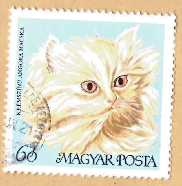 Briefmarke Ungarn, Cream Perserkatze, 60f