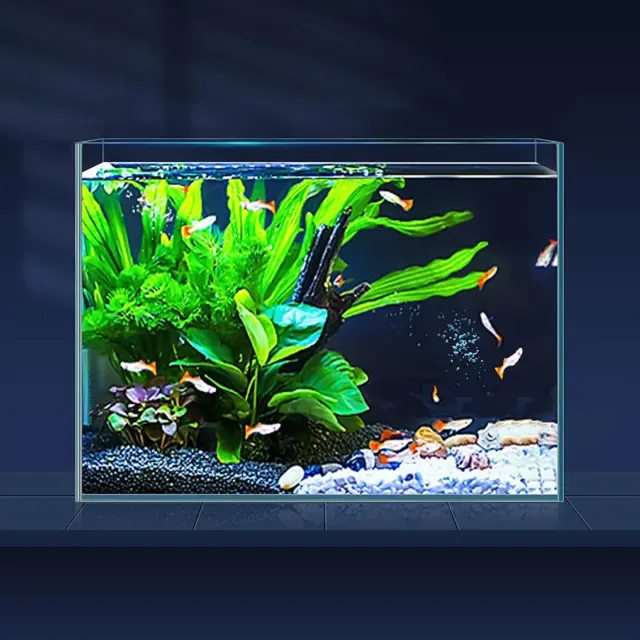 3 Gallon Ultra Clear Glass Fish Tank, Rimless Low Iron Aquarium for Betta/Nano/G