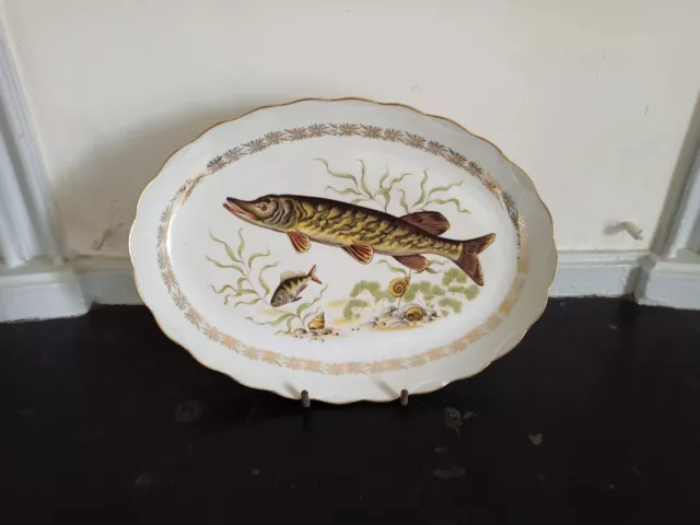Plat En Porcelaine De Limoges Poisson