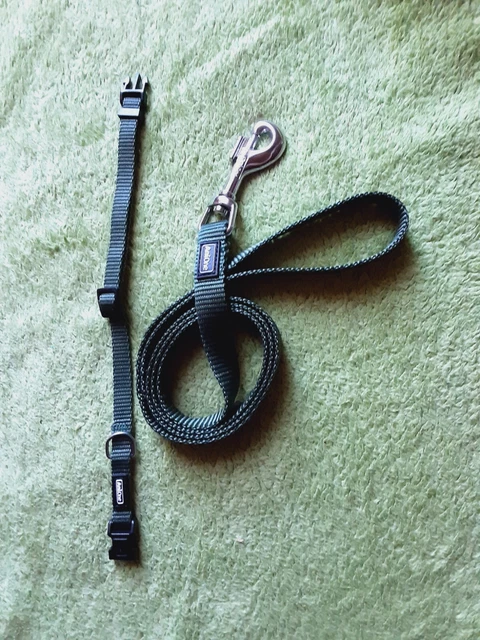 Hunde Halsband und Leine Set AniOne