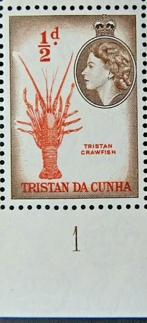 TRISTAN DA CUNHA 1954 SG14 QEII ½d. TRISTAN CRAWFISH  -  MNH