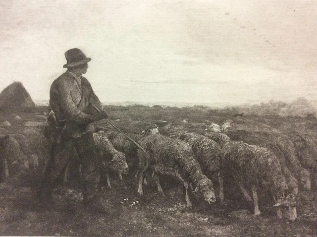 la rentrée à la ferme Barbizon Charles Emile JACQUE 1813-1894 Hélio G Petit
