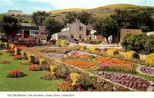 Picture Postcard; Great Orme, Llandudno, the Old Rectory Tea Gardens