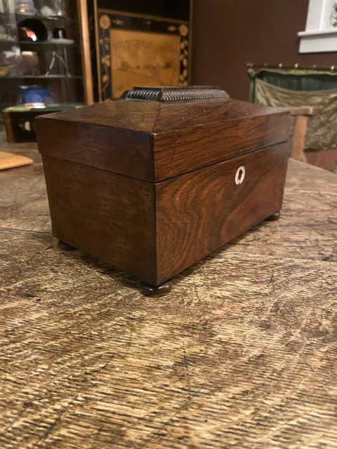 Antique Rosewood Sarcophagus Tea Caddy Double Compartment