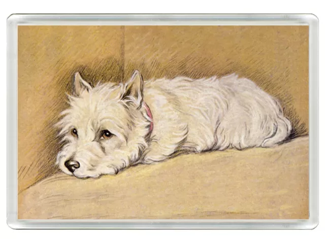 West Highland White Terrier Westie Dog Print Novelty Fridge Magnet   Great Gift