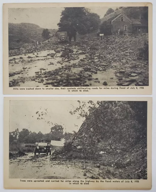 Southern Tier NY 1935 Flood Disaster Trees Uproot 46 Died 2  Linen Postcards h81