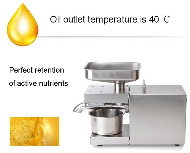 New Stainless Steel Oil Press Automatic Cold and Hot Peanut Oil Press 110V/220V