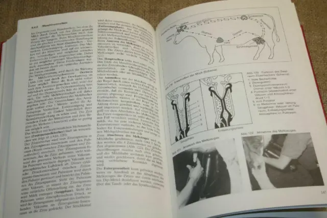 Fachbuch Rinderzucht Rinderhaltung Rassen Kälber Milchvieh Mutterkuh 1983