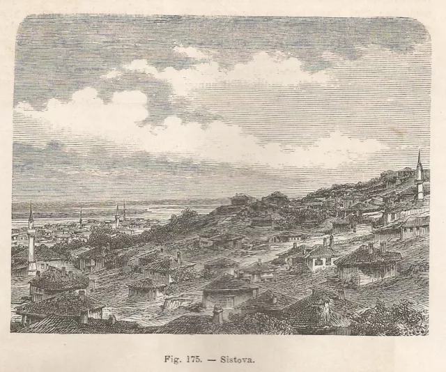 A1745 Sistova - Panorama - Xilografia - Stampa Antica del 1895 - Engraving