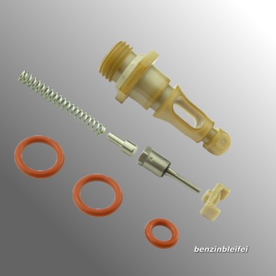 SAECO Set Pezzi di ricambio RUBINETTO ugello Valvola Uscita Valvola per Incanto Magic Royal 