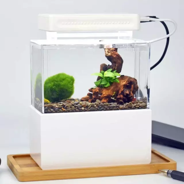 Mini Aquarium Fish Tank Desktop Led Light Goldfish Bowl Quiet Air Pump 0.78L US