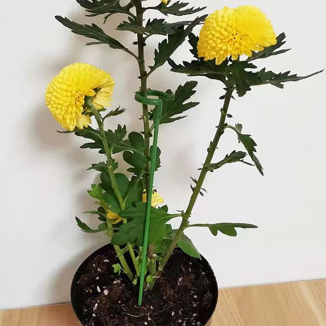 40 Pcs Plastic Flower Support Fixed Flower Holder Potted Plants Climb 12
