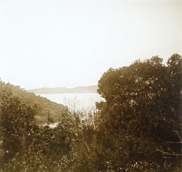 FRANCE Port-Cros Île à Hyères c1930 Photo Plaque de verre Vintage V36L5n7