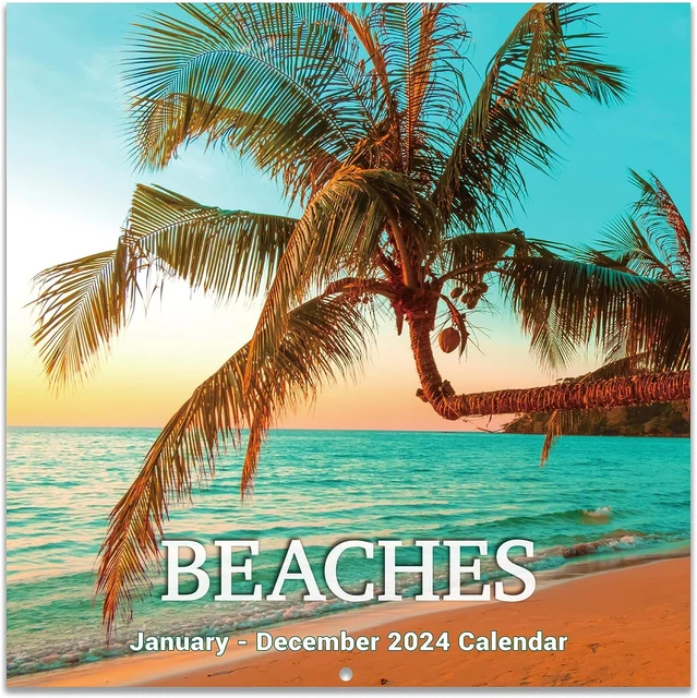 CALENDAR 2024 Wall Calendar 2024, Jan. 2024 Dec. 2024, 12" X 24