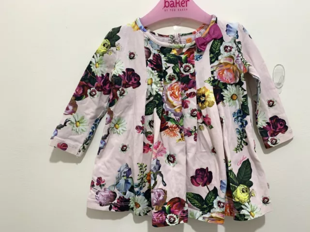 Baby Girls Designer Ted Baker Pink Floral Oil Painting Print Dress 0-3 3-6m🌸