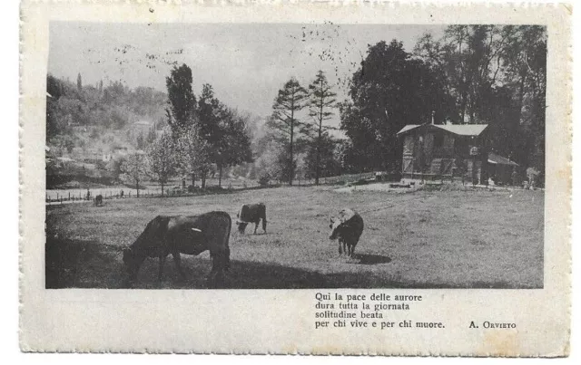 CARTOLINA CON VERSI DI ,A. ORVIETO viaggiata nel 1924