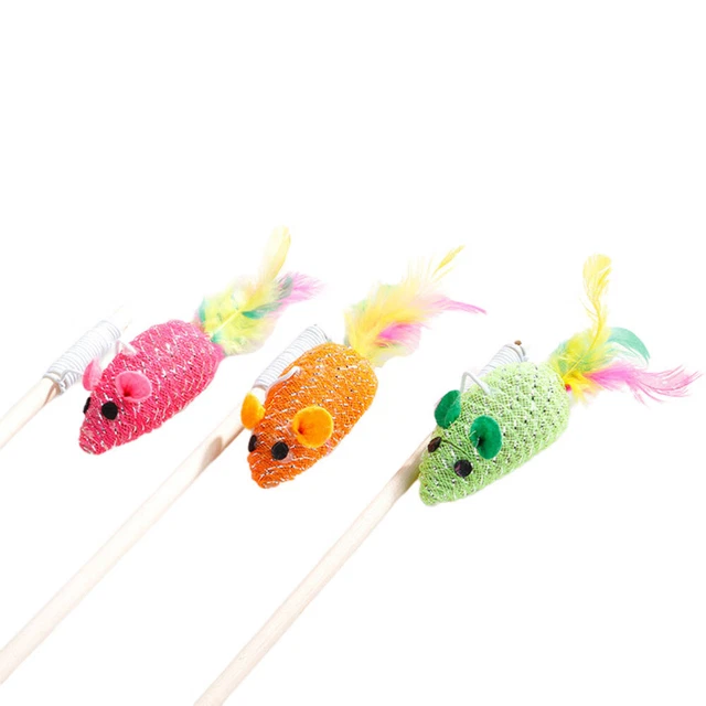 3 Pcs Chat Jouet Jouets Pour Animaux De Compagnie La Plume