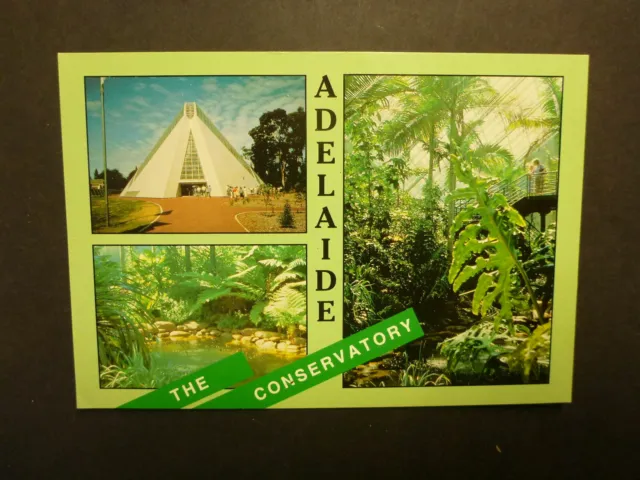 Retro Australian Postcard- Adelaide Botanic Garden Conservatory