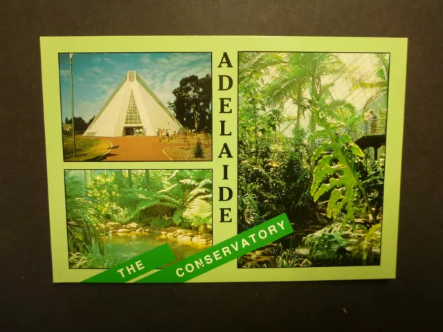 Retro Australian Postcard- Adelaide Botanic Garden Conservatory