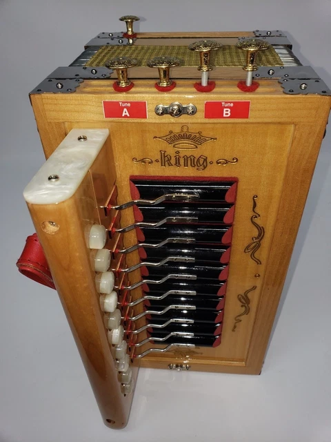 Gabbanelli King Cajun 2 tone accordion 6