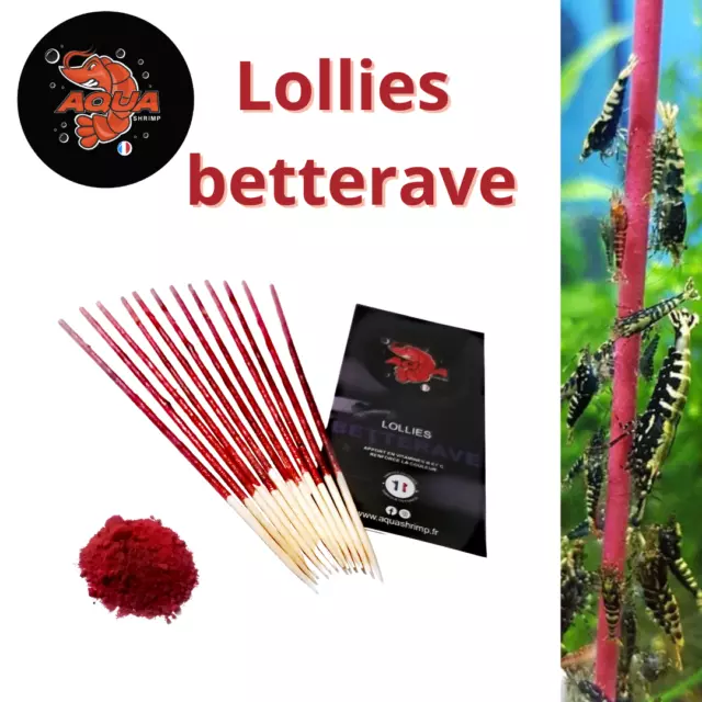 Lot de 10 lollies bio betterave + 2 gratuits pour crevettes aquarium