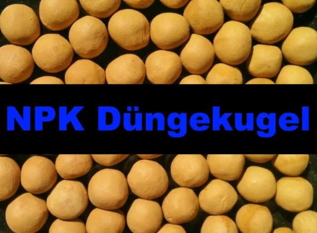 [11,99€/100g] 100 npk-düngekugeln pour plantes aquarium poissons Engrais ENGRAIS