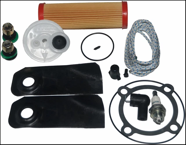 Victa carburetor sales repair kit bunnings
