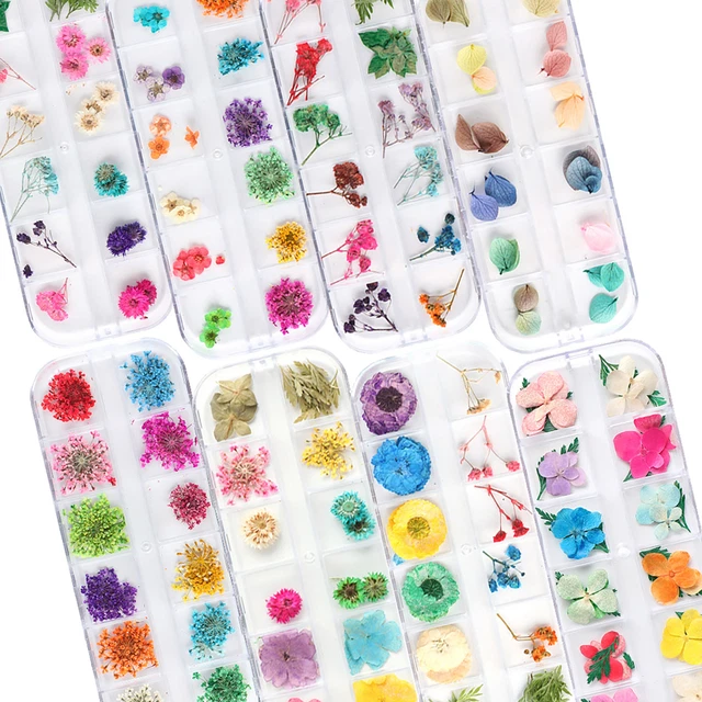 Nail Art Fiori Essiccati Colorati E Duraturi Decalcomanie Conservate Narciso