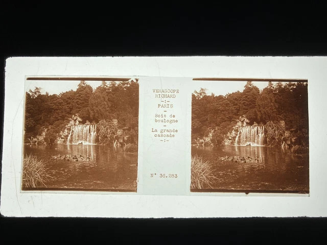 PARIS BOIS DE BOULOGNE PLAQUE VERRE 45x107 VUE STEREOSCOPIQUE VERASCOPE RICHARD