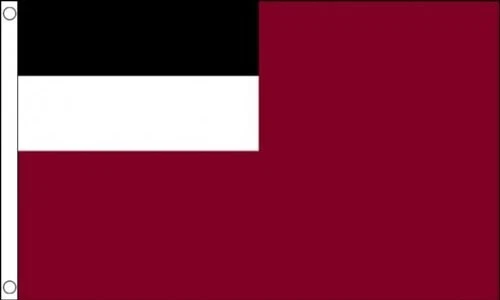 Simboli Nazionali Della Georgia Su Bandiere Georgiane Di Sfondo Trasparenti E Illustrazione Vettoriale Image243756146 - Foto 3