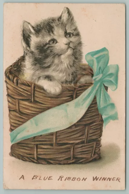 Cats~A Blue Ribbon Winner~Kitten In Tall Wicker Basket~Light Blue Ribbon n Bow