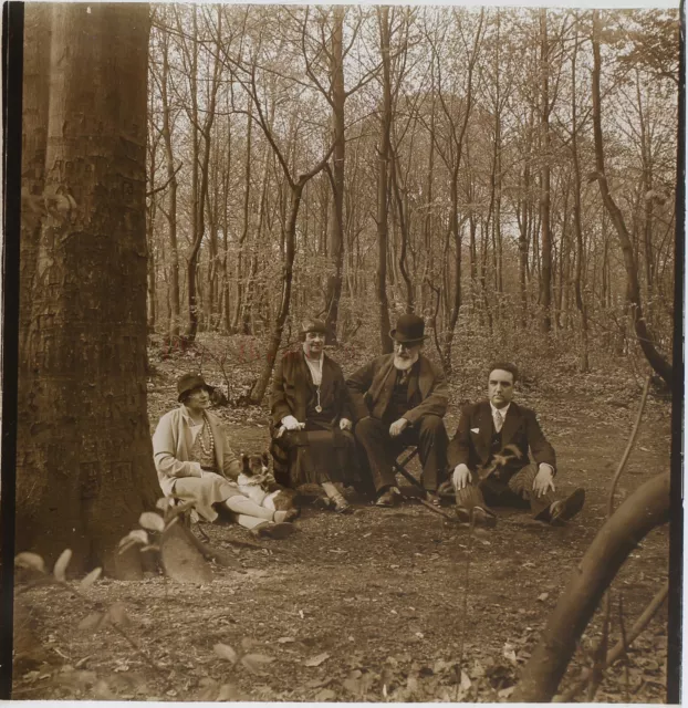 Famille Bois France Photo Stereo PL5P4n Plaque de verre Vintage c1930