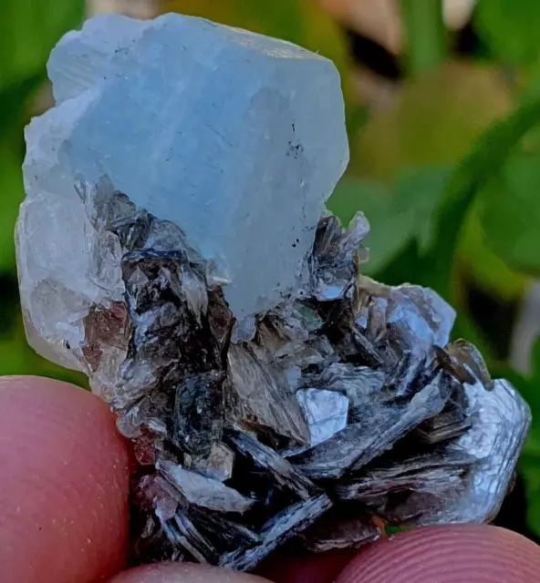 Hermosa muestra de fluorita sobre mica aguamarina azul cielo de 35 quilates @ Pak