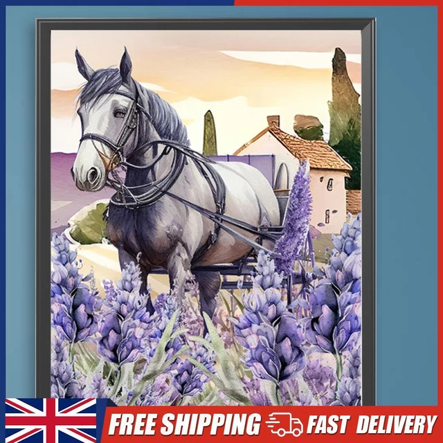 PAINT BY NUMBERS Kit On Canvas DIY Oil Art Purple Tulip Picture Decor ...