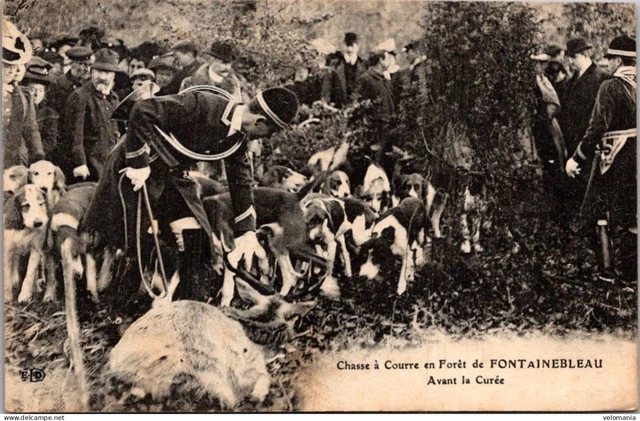 Carte Postale Ancienne – Chasse à Courre En Forêt De Fontainebleau (77)