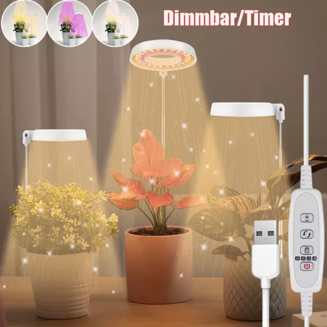 LED Pflanzenlampe Vollspektrum Pflanzenlicht Zimmerpflanze Timer Grow Ringlicht