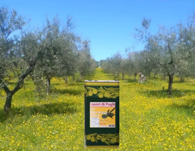 5 LT Olio Extravergine di oliva Pugliese 5 Litri annata 2021