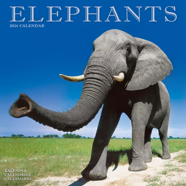 ELEPHANTS CALENDAR 2024 Safari Calendar 15 OFF MULTI ORDERS! £10.99