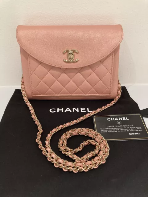 Auth CHANEL Diana Brown Quilted Lambskin Leather Chain Shoulder Flap Bag  #42166