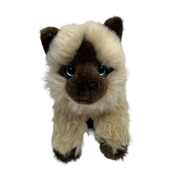 Toys R Us 2015 Realistic Siamese Cat Kitten Kitty Stuffed Animal Pet Plush Toy
