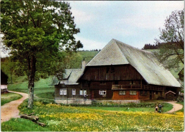 Vintage In The Lovely Brigachtal Germany Homeland Black Forest Postcard
