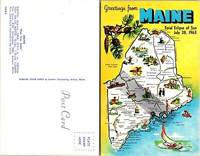 Maine Greetings Pine Tree State Map Destinations Sites Squirrel Vintage Postcard
